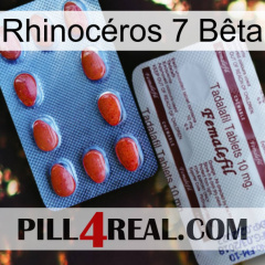Rhinocéros 7 Bêta 36